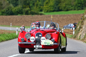 Jaguar XK 120 OTS (1953) - am Gempen Memorial 2014