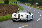 Jaguar XK 120 OTS (1954) - am Gempen Memorial 2014