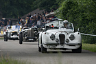 Jaguar XK 120 OTS (1954) am Oldtimer GP Brugger Schachen 2019 - Starterfeld 5 «Vorkriegs- und historische Sportwagen»
