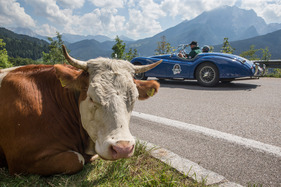 Bild Jaguar XK 120 OTS SE (1954) - an der Saalbach Classic 2015