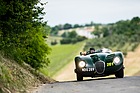 Jaguar XK 120C C-Type (1953) - an der Mille Miglia 2014