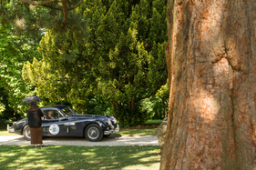 Jaguar XK 140 FHC (1955) - 33. Ennstal-Classic 2025 (1955)