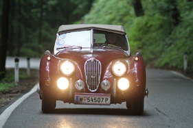 Jaguar XK 140 OTS (1954) - in der Klasse Sportwagen am Start beim Gaisbergrennen 2014 (1954)