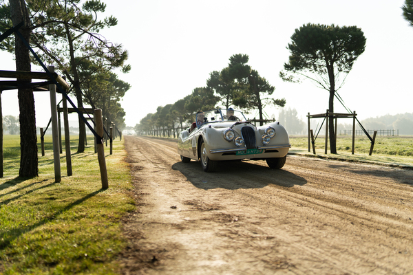 Jaguar XK120 (1948) – Zoute Grand Prix 2021