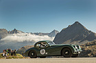 Jaguar XK120 (1954) - Bergrennen Bernina Gran Turismo 2019