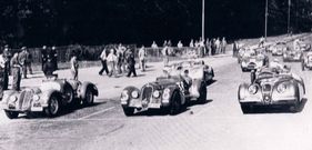 Jaguar XK120 Alu (1949) - Startaufstellung am GP Bern 1950