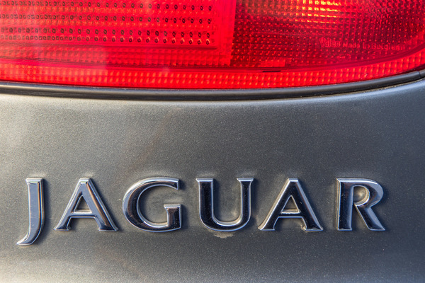 Jaguar XK8 (1997) - Markenschriftzug auf dem Heck