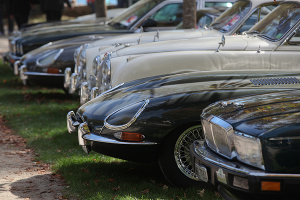 Jaguar als Ehrenmarke breit vertreten - Swiss Classic British Car Meeting Morges 2017