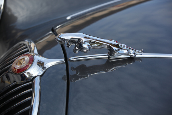Bild: Jaguar als Kühlerfigur - Swiss Classic British Car Meeting Morges 2017