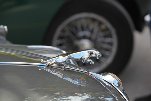 Jaguar als Kühlerfigur - Swiss Classic British Car Meeting Morges 2017