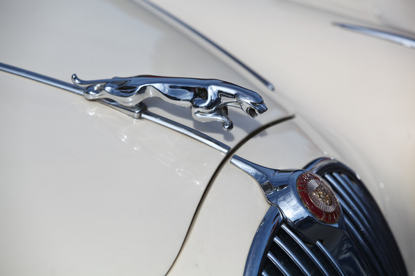 Jaguar auf dem Kühler eines Sportwagens - Swiss Classic British Car Meeting Morges 2017
