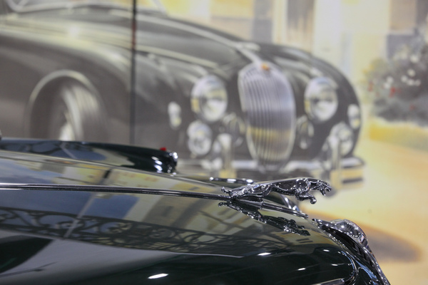 Jaguar im Original und auf der Abbildung - Bremen Classic Motorshow 2020