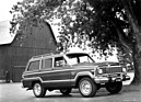 Jeep Wagoneer Limited (1979)
