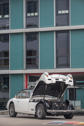 Jensen 541 (1956) - reisst das Maul weit auf