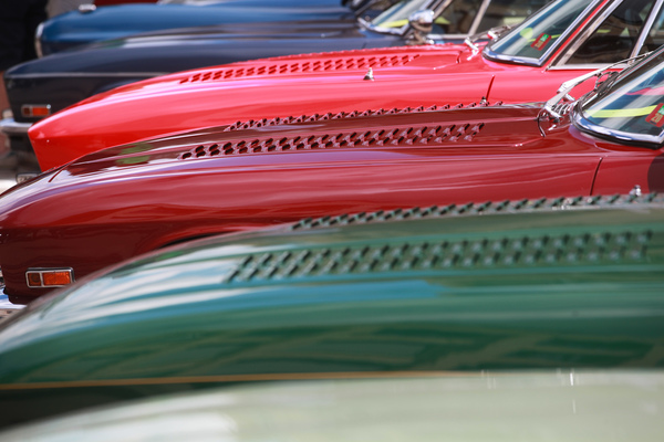 Image: Jensen radiator grilles in all colors - V8 and I6 hybrid meeting Kemptthal 2020