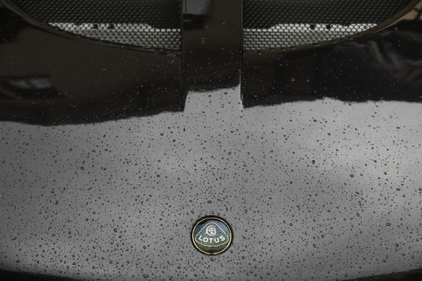 Jugendlicher Lotus mit schwarzem Badge - Older Classics Mai 2023