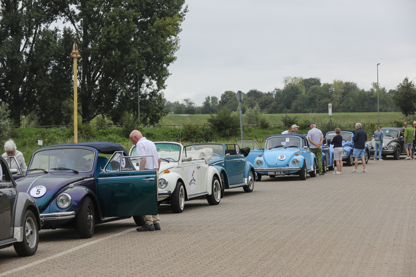 Käfer-Cabriolet-Kolonne bei der Fähre über den Rhein - Internationales Käfer-Cabrio-Treffen von Deutschland 2025