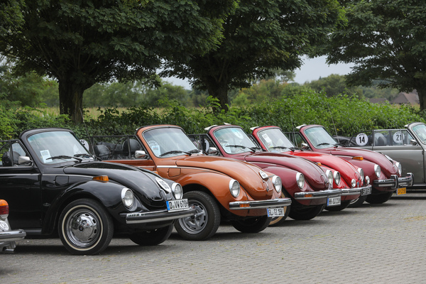 Käfer Cabriolets des Typs 1303 in Reih und Glied - Internationales Käfer-Cabrio-Treffen von Deutschland 2025
