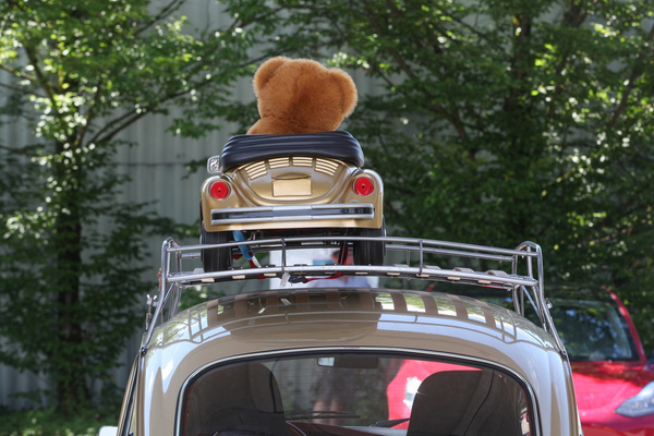 Käfer auf Käfer - AMAG Classic Day 2022