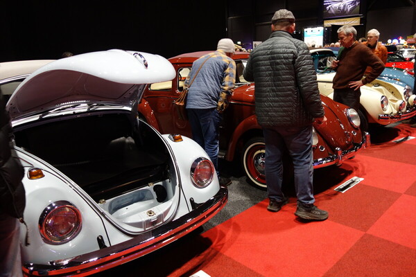 Image: Beetles galore - Classic Car Show Maastricht 2024