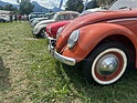 Bild: Käferinvasion - VW Meeting Château d'Oex 2025