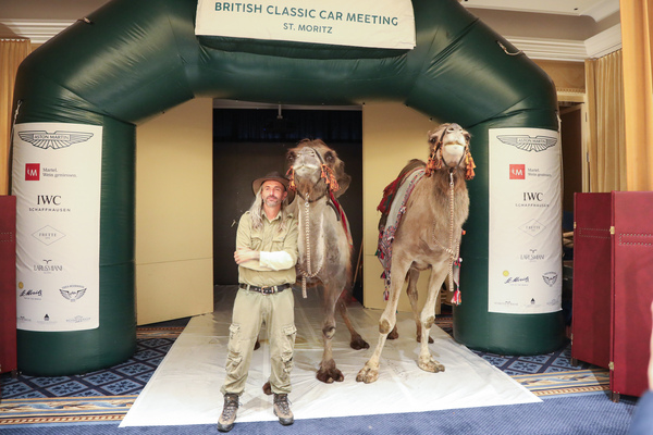 Kamele im Luxus-Hotel, kein alltäglicher Anblick - 30. BCCM St. Moritz "Safari Edition" 2024