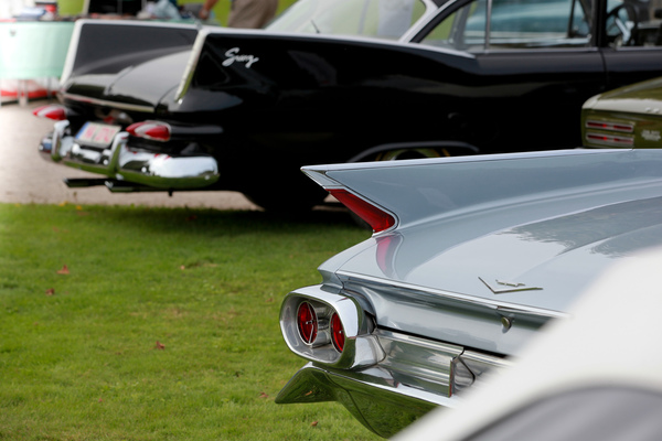 Kampf der Flossen? - Classic-Gala Schwetzingen 2020