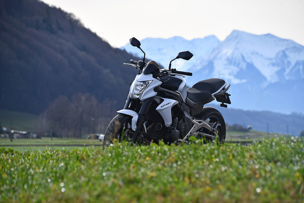 Bild: Kawasaki ER-6n ABS (2012) - Lot 121 an der Versteigerung der Oldtimer Galerie Toffen am 23. März 2024
