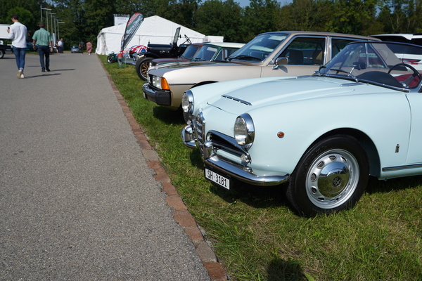 Bild Kick Off zur Autohalle Andelfingen - Kompetenz-Zentrum für Oldtimer - Besucherparkplatz für Oldtimer