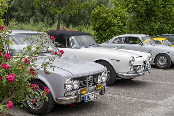 Klassische Alfas geparkt am Warten - Alfa Classic Wachau 2024