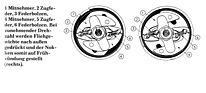 Image: Components of the ignition distributor - interior view