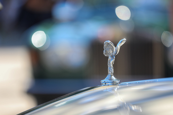 Bild: Kühlerfigur Emily blickt auf andere Rolls-Royce - 19. ASC Classic-Gala Schwetzingen 2023