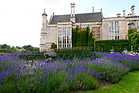 Kurze Erholung von den vielen Autos zwischen Rosen und Lavendel im Garten der Orangerie des Burghley House