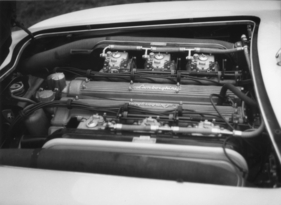 Lamborghini 350 GT (1964) - Motorblock