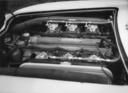 Bild: Lamborghini 350 GT (1964) - Motorblock