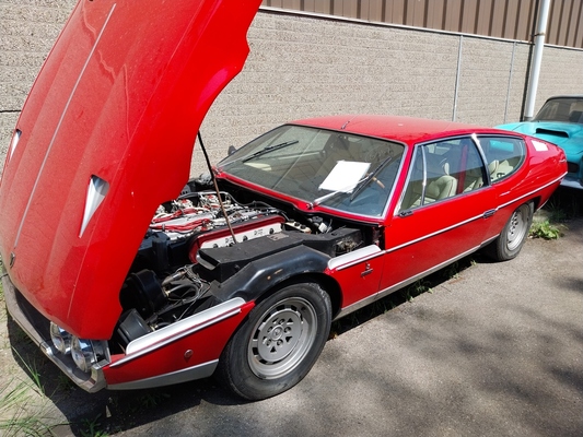 Lamborghini Espada (1972) - Palmen Scheuenfund-Sammlung