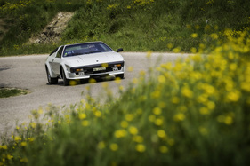 Lamborghini Jalpa (1982) – trotz Exoten-Status heute nicht extrem teuer
