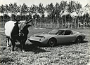 Lamborghini Miura (1966) - Die Legende mit dem Stier