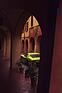 Lamborghini Miura S (1970) - In the land where the lemons bloom