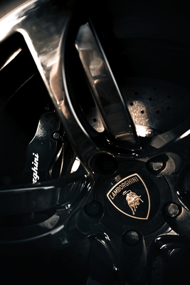 Lamborghini Murciélago LP640 Versace (2006) - Details