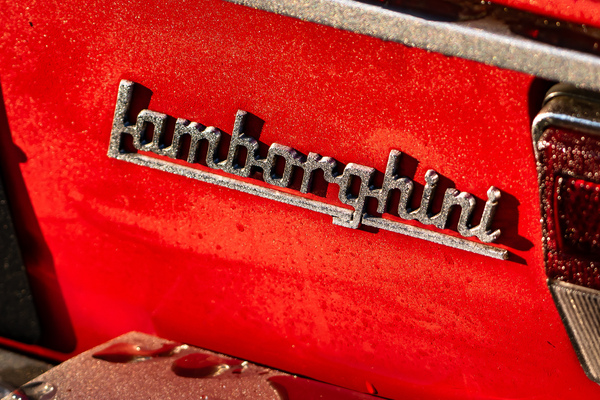 Lamborghini-Schriftzug im Nebeltau - 31. Goodwood Festival of Speed 2024