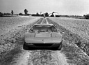 Image: Lamborghini Urraco (1970) - In a field