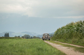 Lancia Ardea 4. Serie (1952) - die kompakte Limousine kommt auch auf schmalen Wegen zurecht