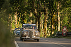 Lancia Aurelia B21 (1952) - an der Mille Miglia 2021