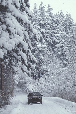 Lancia Delta Integrale - Ein Lancia Delta fährt durch die verschneiten Wälder der Rallye Monte Carlo 1987