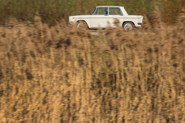 Lancia Fulvia 2C (1967) - sieht weniger sportlich aus, als sie ist