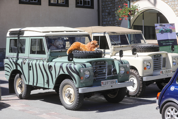 Land Rover 88 Serie 3 (1978) - 30. BCCM St. Moritz “Safari Edition” 2024