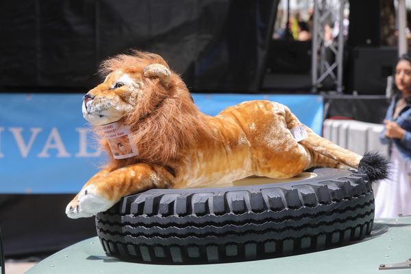 Land Rover 88 Serie 3 (1978) - 30. BCCM St. Moritz “Safari Edition” 2024