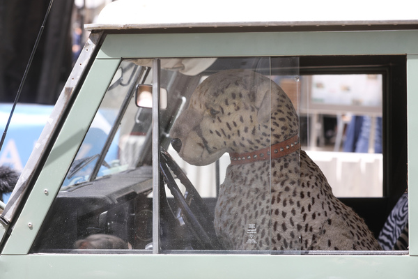 Land Rover 88 Serie 3 (1978) - 30. BCCM St. Moritz “Safari Edition” 2024