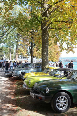 Lieber grün oder doch zitronengelb? - Swiss Classic British Car Meeting Morges 2017
